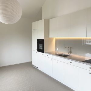 Hochwertige Einbauküche mit Induktionsherd, Kombi-Steamer, Geschirrspüler, Kühl/Gefrierkombination.